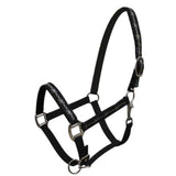 Neoprene Halter with Barbwire Design
