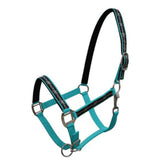 Neoprene Halter with Barbwire Design