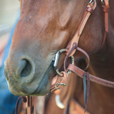 Classic Equine Smooth Mouth D-Ring