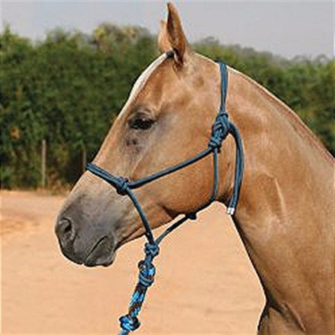 Professional's Choice Chocolate/Turquoise Rope Halter