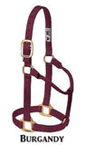 Weanling/Pony Original Non-Adjustable Halter