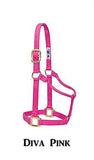 Weanling/Pony Original Non-Adjustable Halter