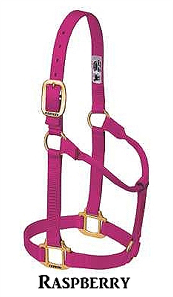 Weaver Leather Original Halter Non Regolabile In Nylon - Attrezzatura Per Cavalli