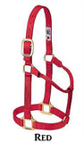 Weanling/Pony Original Non-Adjustable Halter