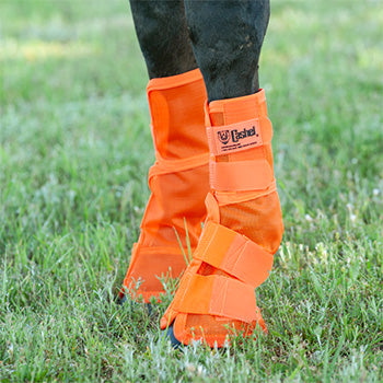 Cashel Arab/Small Horse Fly Boots Orange
