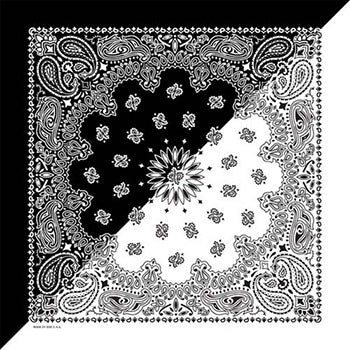 Black And White Split Paisley