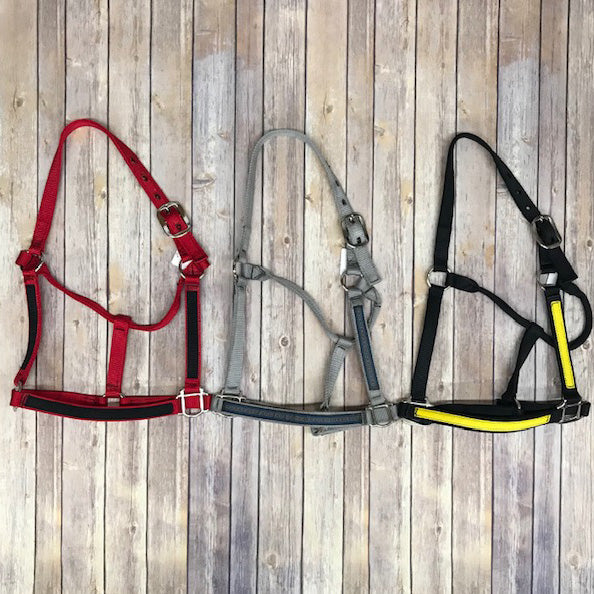 Large Horse Halter