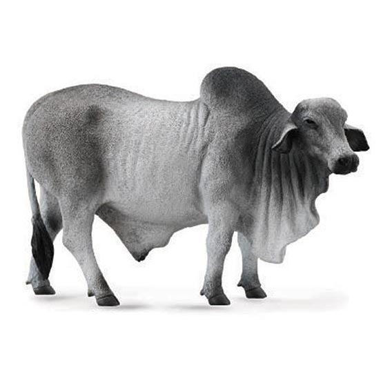 Breyer Brahma Bull