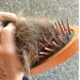 Love Wood Curry Brush