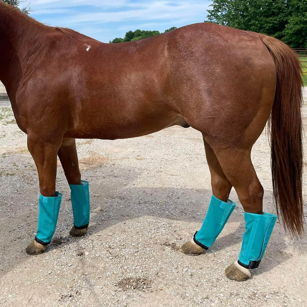 Fly boots for horses shop