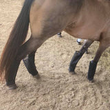 Fly Free Insect Protection Boots - Black