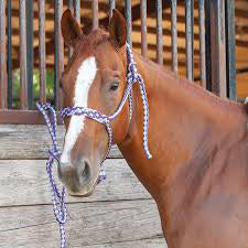 Martin Saddlery Purple and Grey Rope Halter