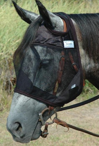 Cashel Company Quiet Ride Weanling with Ears