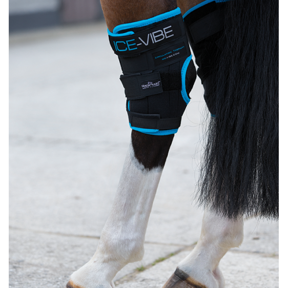 Horseware Ireland Ice Vibe Hock Wrap