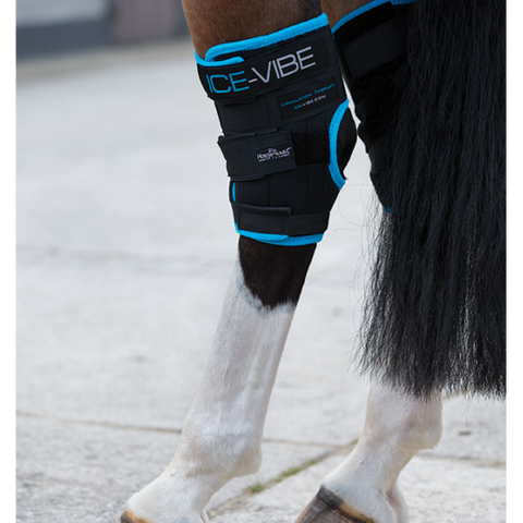 Horseware Ireland Ice Vibe Hock Wrap