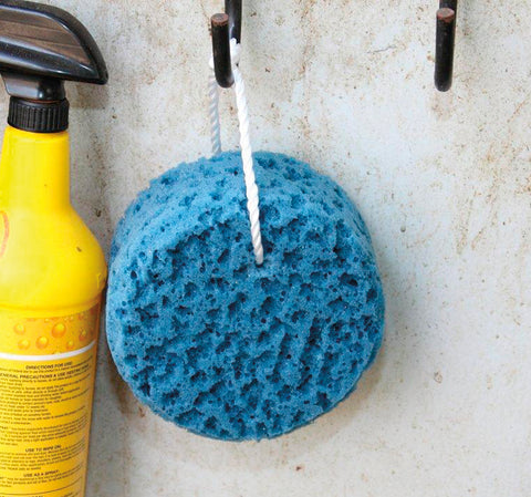 Tail Tamer Sponge on a Rope