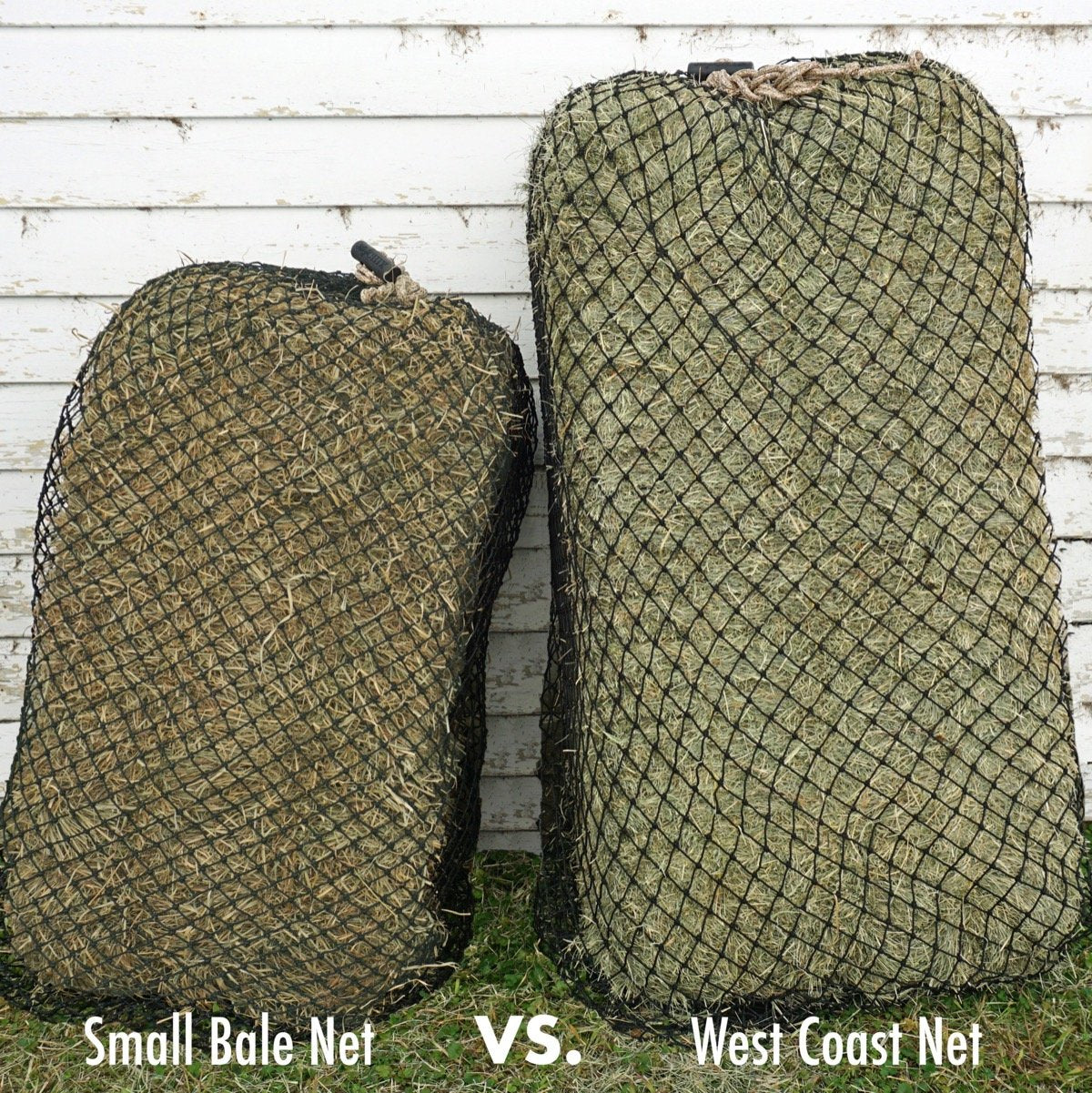 Hay Chix West Coast Hay Net - Main Image