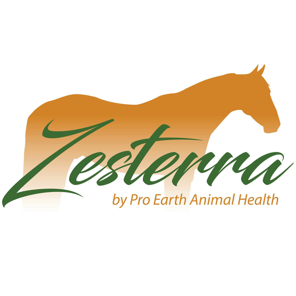 zesterra 